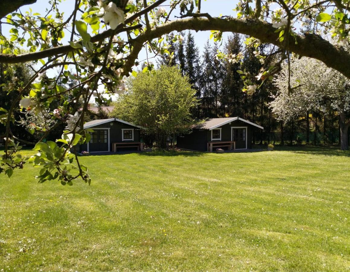 Camping & Guest House Pliskovice Mirovice المظهر الخارجي الصورة