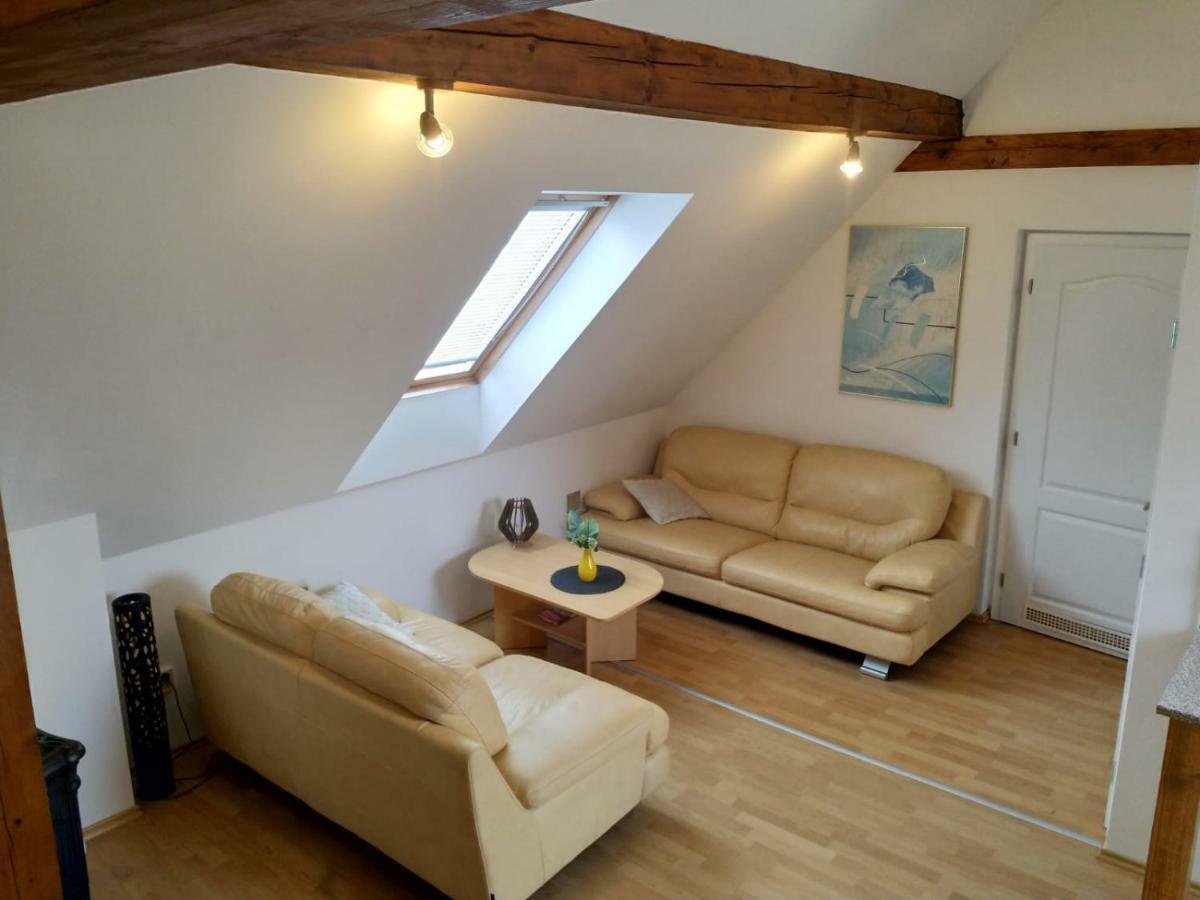 Camping & Guest House Pliskovice Mirovice المظهر الخارجي الصورة